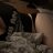 HornySubSlut21