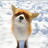 BloobLovesFoxy