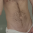 Italianstallion5