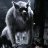 ShadowLycan