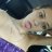 CrazyFunPinky115