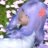 BlueberryShortcake