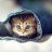 Sweetling