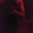 Noddy_Shadowbolt