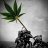 Massdick420