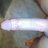 Ritesh062
