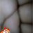 Kisstoti