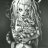 The_Wonderland_Alice