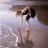 Gold_and_Saltwater