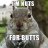 Squirrel4play