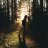 Lone_Forest_Walker