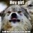 urBadWolf4awhile