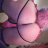 SissyBunny