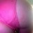 Pics