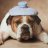 Ruffkut