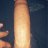 Bigdickhawk