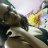 ShainaQuery