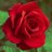 Rupali_1