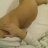 mmf-my-wife