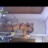 Mandylea80