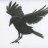 Jack_raven