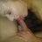 Sexyfuckcouple