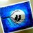 nightbird