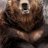 HarryBear