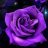 GhostOfARose