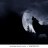 TheWolfMoon