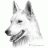 Didier_BE