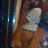 Bicurioushrnylatina323