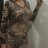 Vanessa35