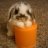 rosethebun