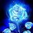 BlueRoseSoldier29