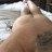 NudeinNH