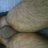 rushi213