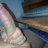 ThickWhiteCock