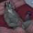 Bad_Wolfie