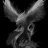 DarkPhoenix1337