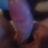 HornyDom569