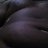 Hole_stuffer