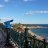 ConfusedCat