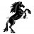 PEGASUS247