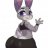 JudyHopps