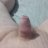 Scotlandsmallcock28
