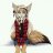 Wolfie-chan