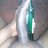 Big_thick9inch