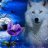 Brianthewhitewolf3