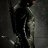 OliverQueen1354